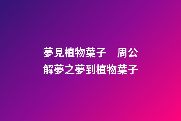 夢見植物葉子　周公解夢之夢到植物葉子